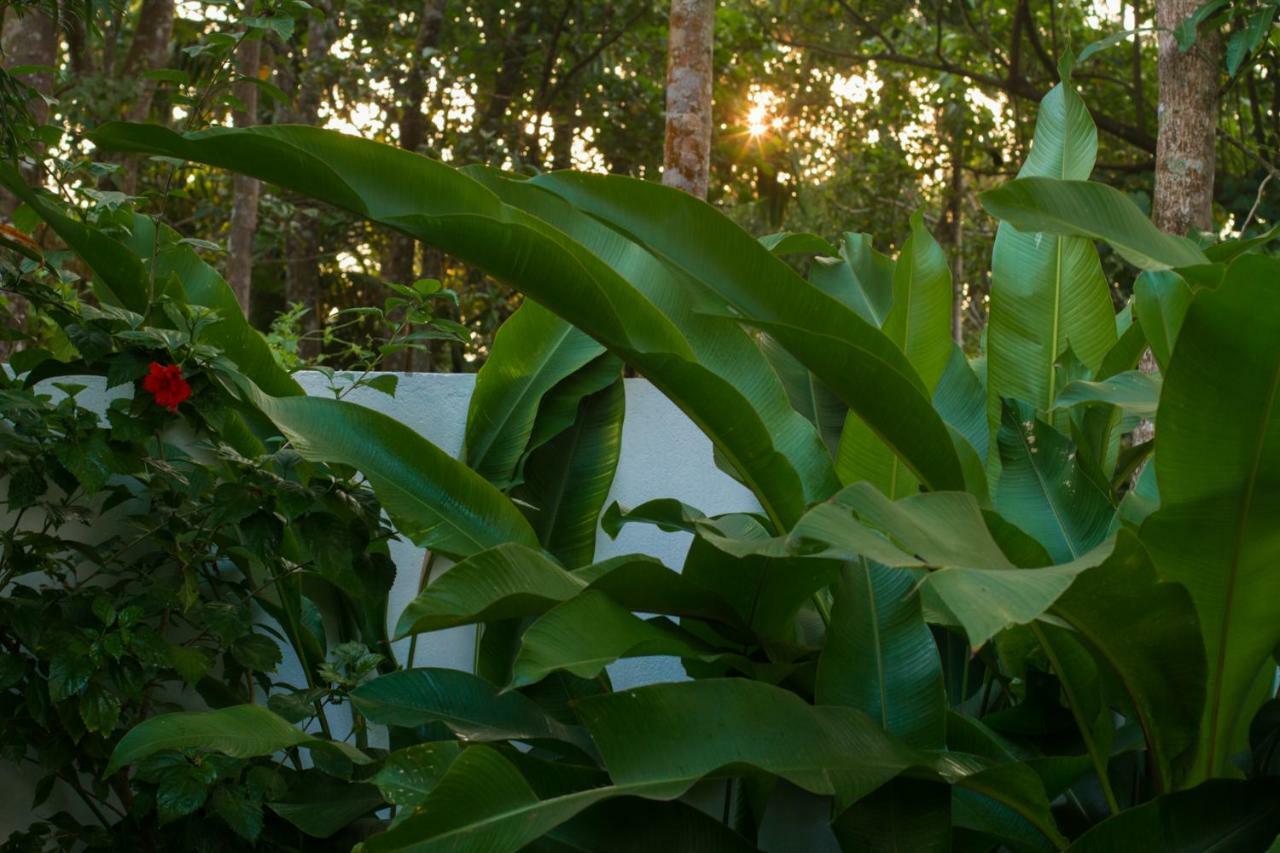 Villa Mia Mararikulam Dış mekan fotoğraf